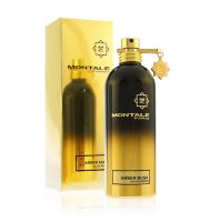 Montale Amber Musk parfumska voda uniseks 100 ml