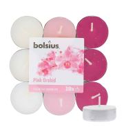 Bolsius Scented Tealights Orchid 4h čajna sveča 18 kos