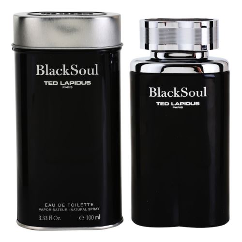 Ted Lapidus Black Soul toaletna voda za moške 100 ml