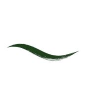 Armaf Beaute DipIn Liq Eyeliner 4ml (1)